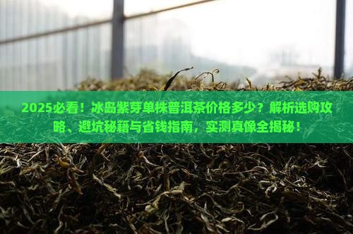 冰岛紫芽单株普洱茶价格多少