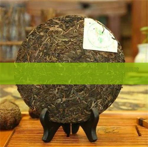 冰岛紫芽单株普洱茶价格多少