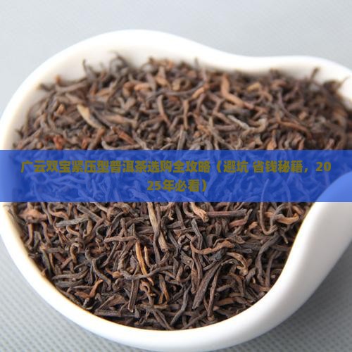 广云双宝紧压型普洱茶