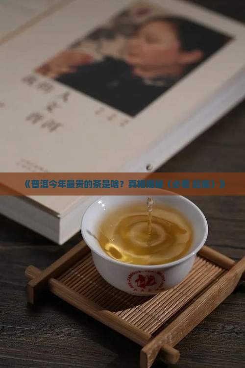 普洱今年最贵的茶