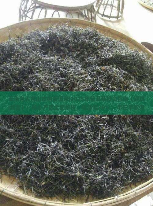 云南各大名山古树普洱茶