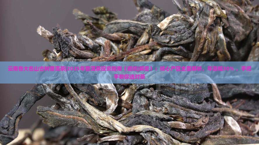 云南各大名山古树普洱茶