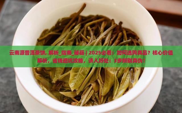 云南源普洱茶饼 云南源普洱茶饼