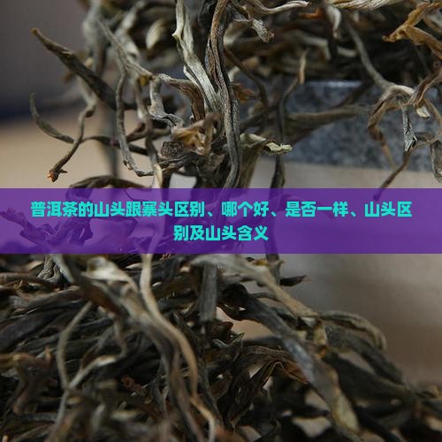普洱茶的山头跟寨头
