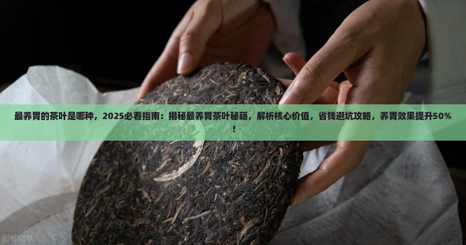 最养胃的茶叶是哪种 最养胃的茶叶是哪种