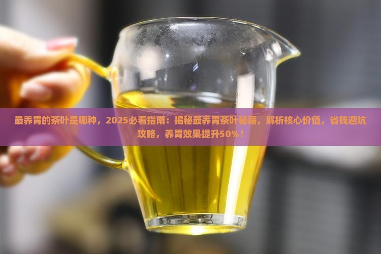 最养胃的茶叶是哪种 最养胃的茶叶是哪种
