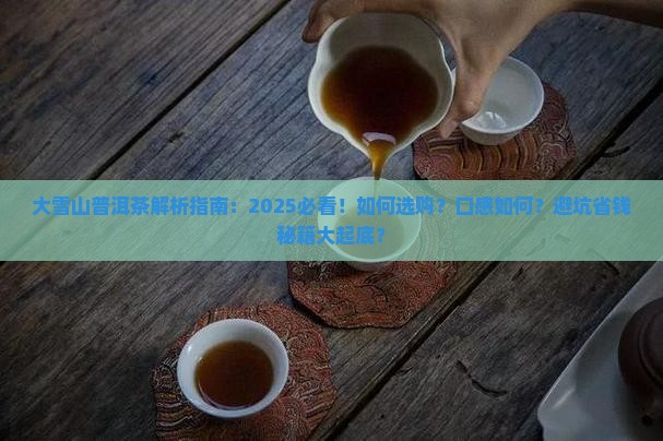 大雪山普洱茶描述