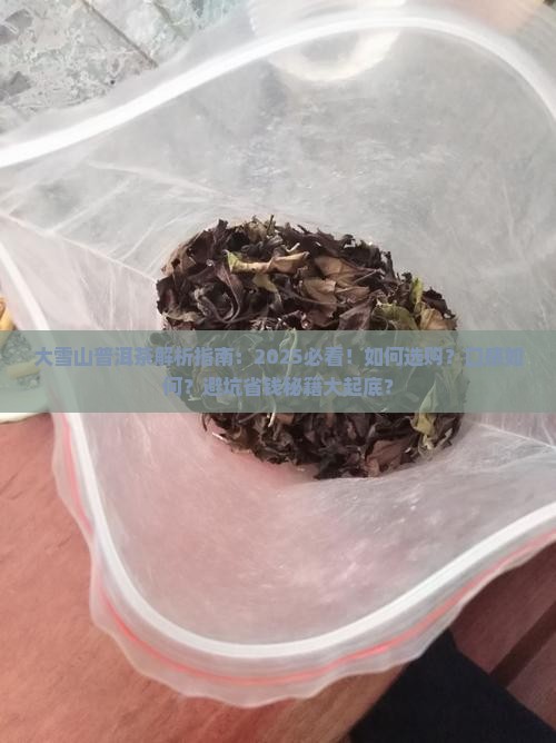 大雪山普洱茶描述