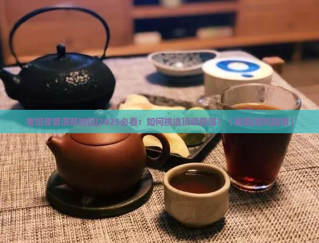 老班章普洱茶地区