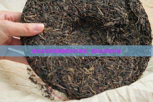 适合冰滴普洱茶的配料
