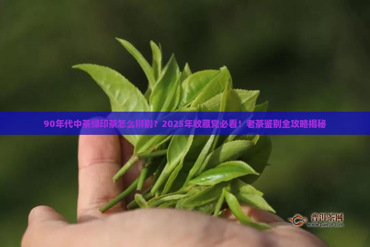 90年代中茶绿印茶辨别 90年代中茶绿印茶辨别