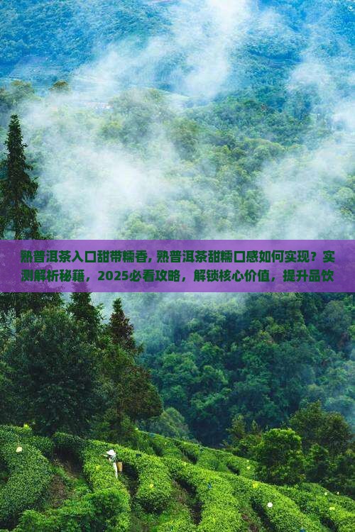 熟普洱茶入口甜带糯香