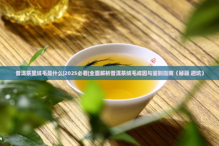 普洱茶里绒毛是什么