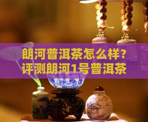 朗河1号普洱茶怎么样