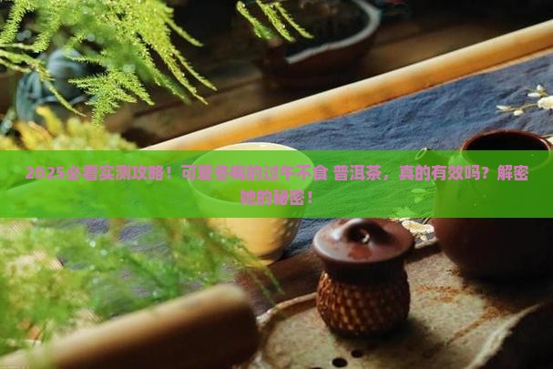 可爱冬梅过午不食加普洱茶
