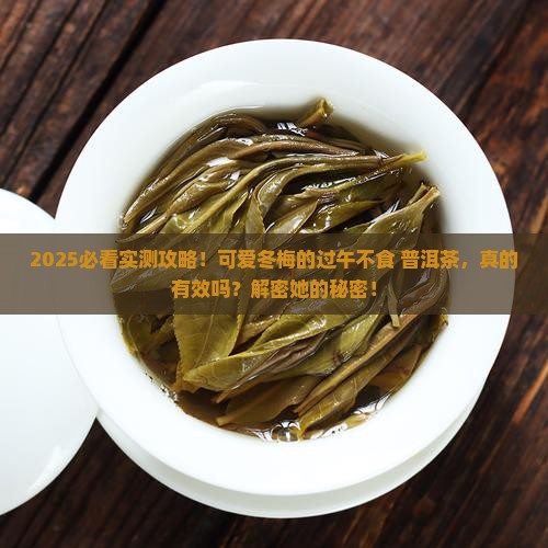 可爱冬梅过午不食加普洱茶