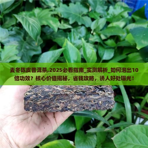 麦冬陈皮普洱茶