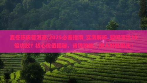 麦冬陈皮普洱茶