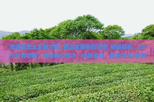普洱茶怎么发酵才香