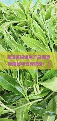 普洱茶棉纸生产日期要求