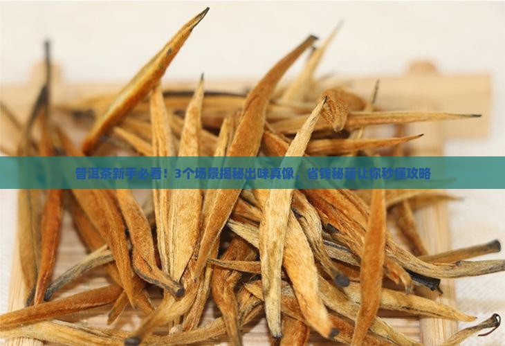 普洱茶的出味是啥意思
