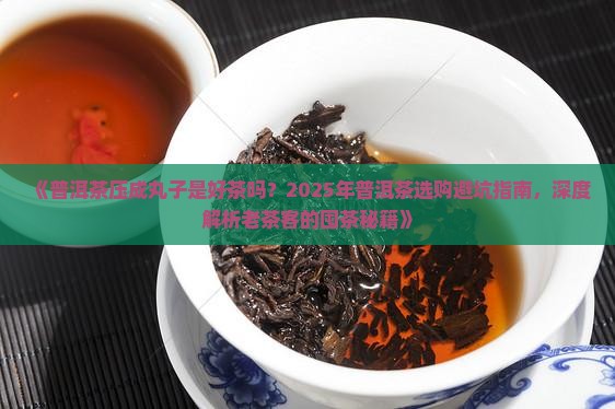 普洱茶压成丸子是好茶吗