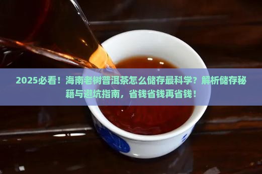 海南老树普洱茶怎么储存