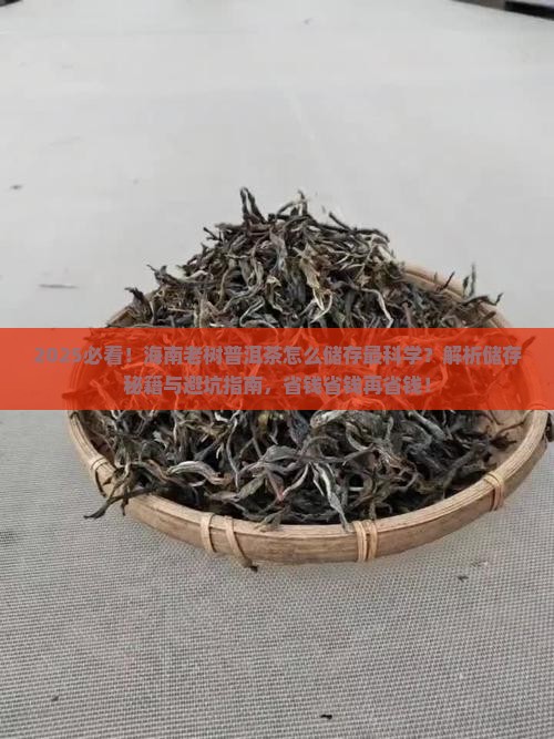海南老树普洱茶怎么储存