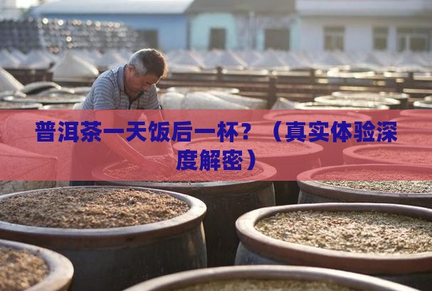 普洱茶一天饭后一杯