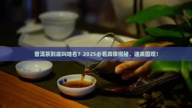 普洱茶的名称是什么