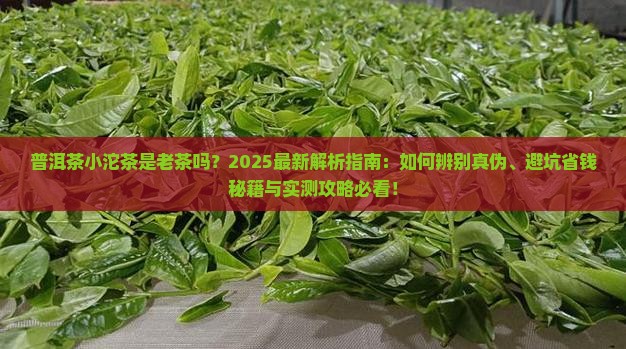 普洱茶小沱茶是老茶吗
