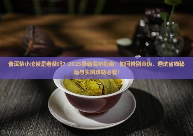 普洱茶小沱茶是老茶吗
