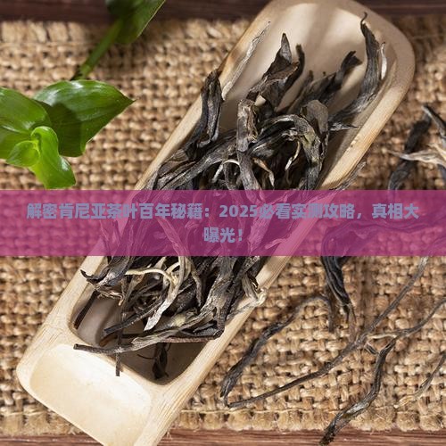肯尼亚茶叶百年历程