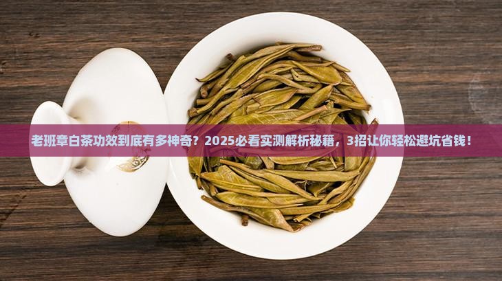 老班章白茶功效