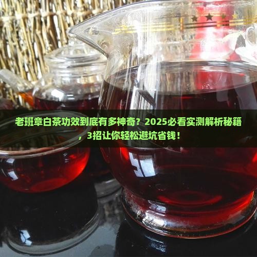 老班章白茶功效
