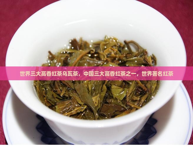 世界三大高香红茶乌瓦茶