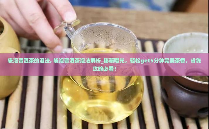 袋泡普洱茶的泡法