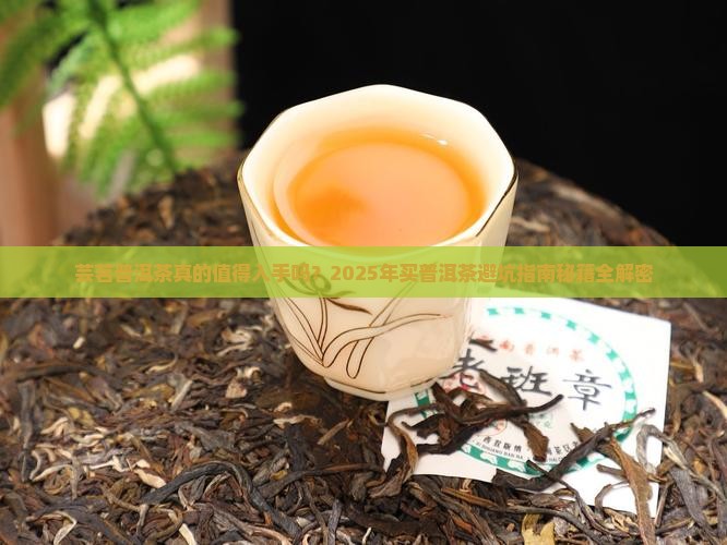 芸茗普洱茶怎么样