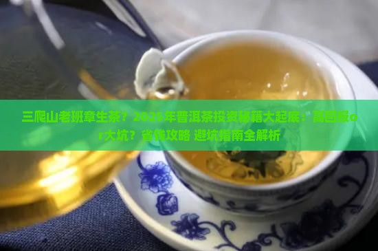 三爬山老班章生茶