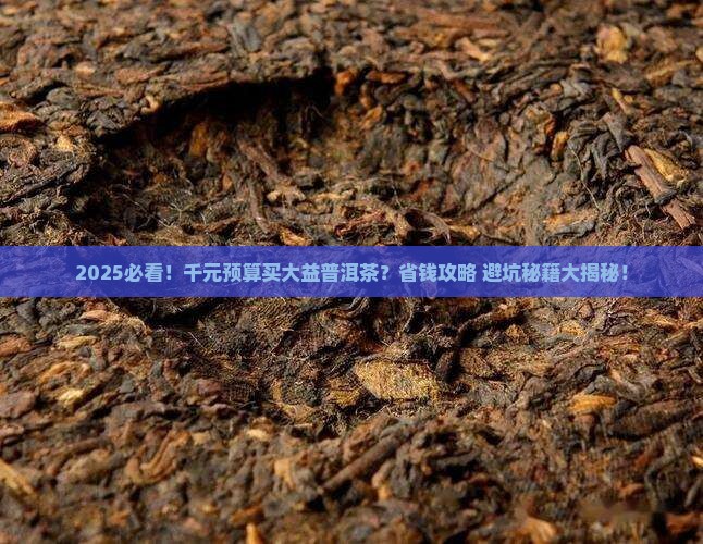 二千元买大益普洱茶