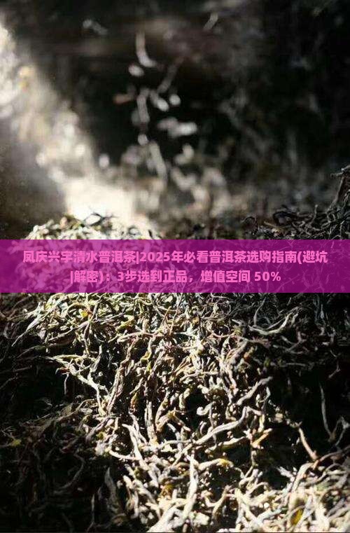 凤庆兴宇清水普洱茶