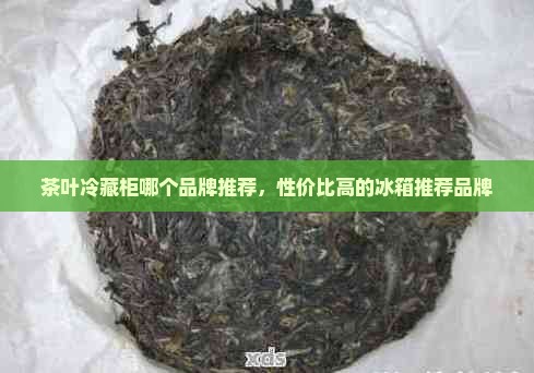 普洱茶冷泡冰箱推荐品牌