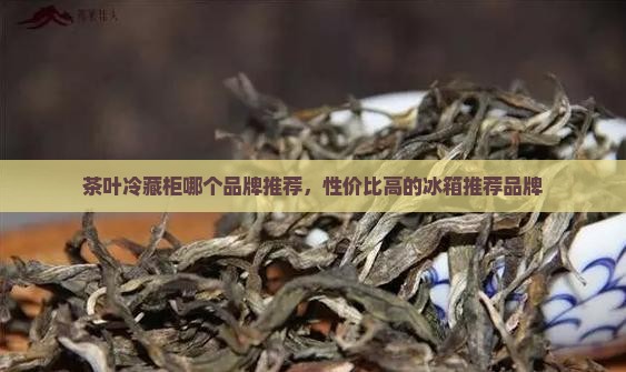 普洱茶冷泡冰箱推荐品牌