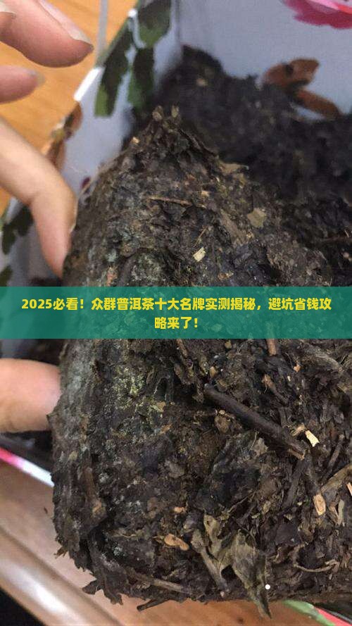 众群普洱茶十大名牌