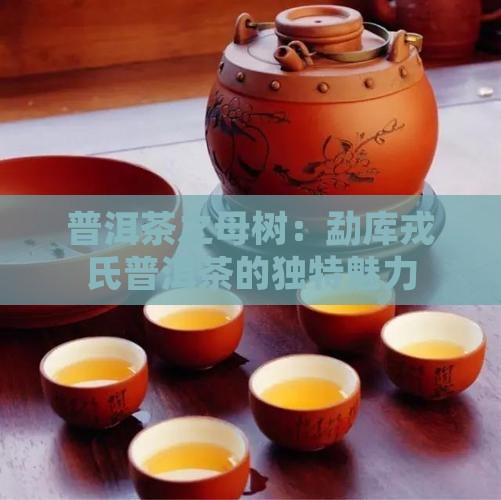 戎氏母树普洱茶是哪个产区