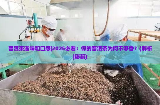 普洱茶滋味和口感