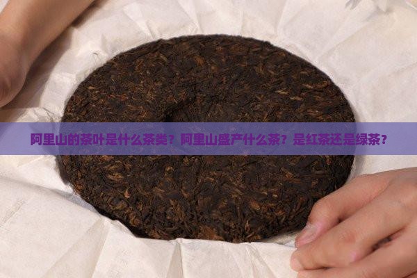 阿里山的茶叶是什么茶