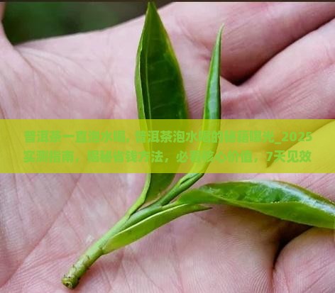 普洱茶一直泡水喝