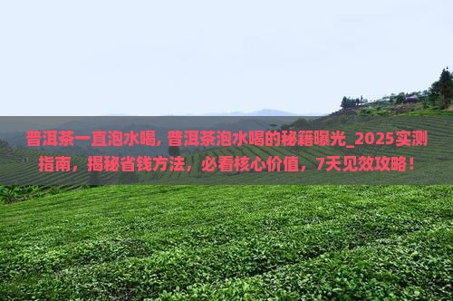 普洱茶一直泡水喝