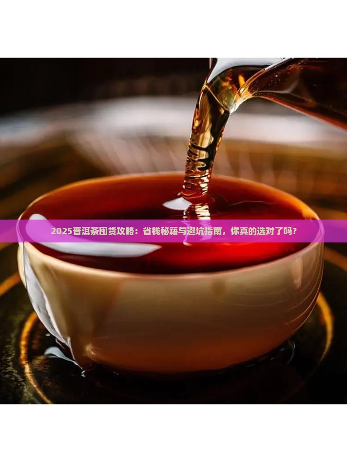普洱茶囤货推荐